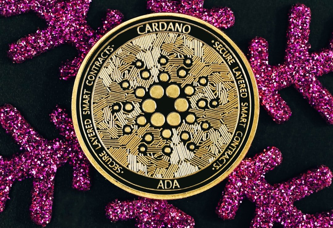 Cardano price prediction 2025 - Photo by Traxer on Unsplash