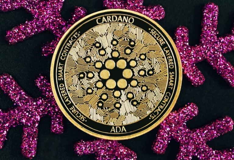 cardano price prediction 2050 - Photo by Traxer on Unsplash