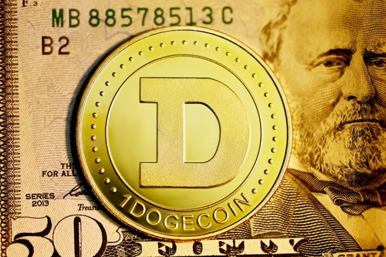 Dogecoin price forecast 2025 - Photo by Kanchanara on Unsplash