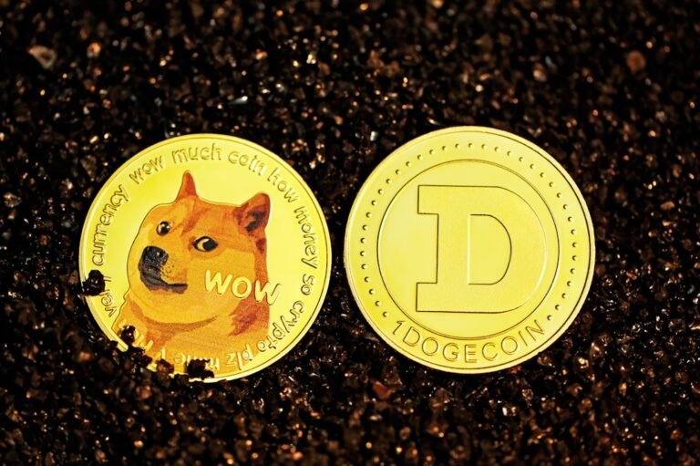 dogecoin price prediction 2030 - Photo by Kanchanara on Unsplash