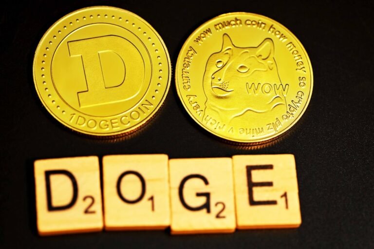 is Dogecoin a good investment 2026 - Photo by Kanchanara on Unsplash